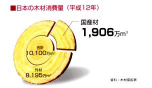 日本の木材消費量