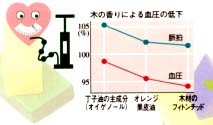 木の香りが効く 健康によい木のある環境 木のはなし